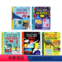 Usborne科普绘本5册 [正版]Usborne科普绘本5册英文原版 Lots of Things to Know A