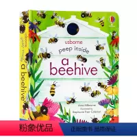 [正版]Usborne出品偷偷看里面系列英文原版绘本蜂巢 Peep Inside a Beehive 洞洞书科普纸板