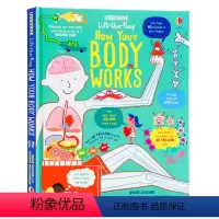 [正版]Usborne出品 人体器官运作原理Lift-the-Flap How Your Body Works 英文原