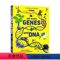 [正版]usborne看里面系列基因和DNA See Inside Genes anA 英文原版精装纸板翻翻书