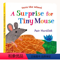 [正版]给小老鼠的惊喜 英文原版绘本 A Surprise for Tiny Mouse 名家Petr Horacek