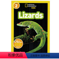 [正版]英文原版绘本National Geographic Kids Level2:Lizards 蜥蜴 国家地理分级