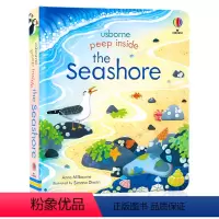 [正版]Usborne偷偷看里面系列 海滩 纸板翻翻书洞洞书 英文原版绘本 Peep Inside the Seash