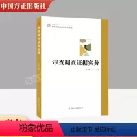 [正版]2023审查调查证据实务 新时代纪法思维系列丛书 李亚群 中国方正出版社 案件审理纪检监察理论分析实践操作党建
