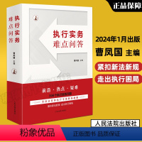 [正版]2024新 执行实务难点问答 曹凤国主编 500个执行实务问题 民事强制执行法 执行依据程序监督 请求权的执行