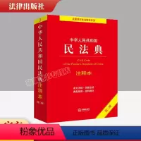 [正版]2023新版 中华人民共和国民法典注释本第二版第2版2022年出版 实用民法典解读条文注释司法解释典型案例