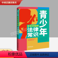 [正版]2022新书 青少年不可不知的法律常识 青少年普法书民法知识 刑法未成年人犯罪法道路交通安全法 中国法制出