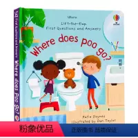 [正版]Usborne问与答系列翻翻书便便去哪里了First Questions and Answers Where