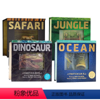 [正版]光与影视觉书系列4册 会动的3D立体翻翻书Jungle/Safari/Ocean/Dinosaur Photi