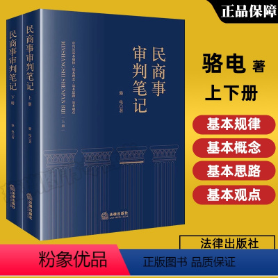 [正版]2023新书 民商事审判笔记 上下册 骆电 执行异议之诉 民商事案件法律关系梳理 民商事纠纷审判实践司法实务工