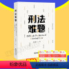 [正版] 2023新 刑法难题 刘宗路 法学案例分析 法律实务人员办公工具书 罪刑法定 刑法教条学 犯罪论体系 刑罚出