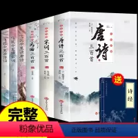 [6册]唐诗宋词元曲+飞花令里读诗词 [正版]全套3册 唐诗宋词三百首鉴赏辞典元曲全集小学生必背300首幼儿启蒙一百首7