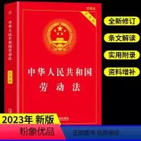 [正版]2023年劳动法实用版 中华人民共和国民法典刑法法律书籍法学全套一本通合同法民事诉讼法律自学中国法制出版社