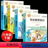 [全套4册]六年级下册阅读书籍 [正版]鲁滨逊漂流记原著完整版 六年级下册课外书的书目 快乐读书吧鲁滨孙鲁宾逊鲁冰逊鲁宾