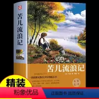 苦儿流浪记 [正版]苦儿流浪记 三年级的课外书小学生四五六年级课外阅读书籍 经典书目儿童文学读物童话故事书 9-10-1