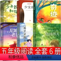 五年级课外书全6册 [正版]追星星的少年 杨娟著江苏凤凰少年儿童出版社 五年级课外书必读指间阳光 奇迹 少年戴维和猫 尼