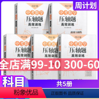 [套装5册]中考数学压轴题 全国通用 [正版]中考数学压轴题高效训练 折叠与旋转函数三角形与四边形圆匀速动点问题 周计划