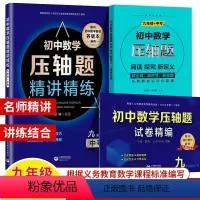 数学压轴题精讲精编+试卷+阅读探究新定义 9年级.3本套 初中通用 [正版]初中数学压轴题精讲精练试卷精编七年级初一数学
