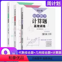 [套装3册]代数+几何+计算题 9年级+中考 初中通用 [正版]周计划 初中数学计算题代数几何高效训练 789年级/七八