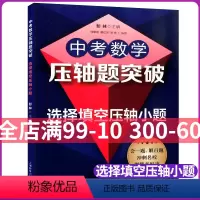 [正版]2022新版中考数学压轴题突破 选择填空压轴小题 初三年级压轴题2020初二初三八九年级初中中考几何综合题二次