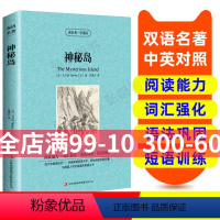 [正版]读名著 学英语 神秘岛 英汉双语读物 英语书籍名著 双语版英语名著 阅读课外读物 小学初中英语读物 中英双语读
