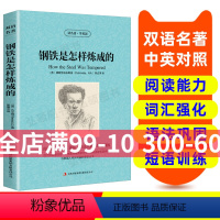 [正版]英汉双语读物钢铁是怎样炼成的 英语书籍世界名著双语版小说英语名著阅读课外读物小学初中英语读物中英双语读物 钢铁