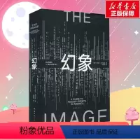 [正版]幻象 (美)丹尼尔 文学 外国现当代文学 社会学 流行文化研究开山之作 书店图书籍 南海出版公司