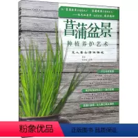 [正版]菖蒲盆景种植养护艺术 文人案头清供雅玩 初舍,朱长 专业科技 园林艺术 养花书籍 书店图书籍中国农业出版社
