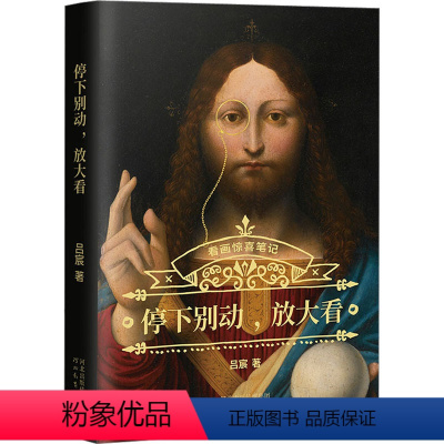 [正版]停下别动,放大看 吕宸 著 艺术 美术理论 艺术其它 书店图书籍河北教育出版社