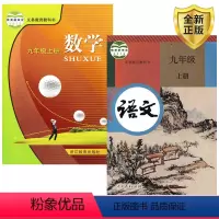 [正版]人教版语文+浙教版数学九年级上册全2本