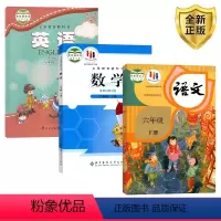 [正版] 人教版六年级下册语文+ 北师大版数学+ 科普版英语起点三 科学普及出版社人民教育出版社六下语文数学英语6下全