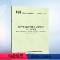 [正版] TSG D0001-2009 压力管道安全技术监察规程 工业管道