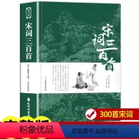 [正版]宋词三百首全集无删减译注