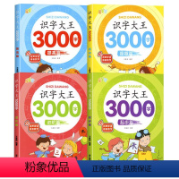 识字大王3000字 [正版]识字大王3000字全套4册 识字书幼儿认字有声启蒙早教书籍学前班