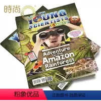 [正版]Young Scientists lv4 小小科学家 阶段4杂志2024年全年杂志订阅一年共10期 7月起订