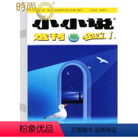 [正版]小小说选刊杂志2024年全年杂志订阅一年共12期7月起订 文学文摘订阅