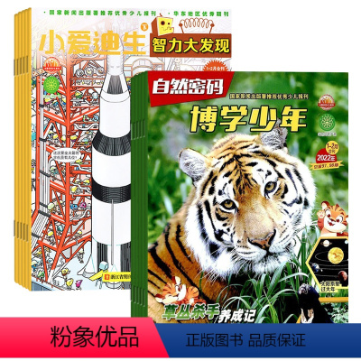 [正版]小爱迪生·智力大发现+博学少年自然密码组合2024年杂志订阅7月起订