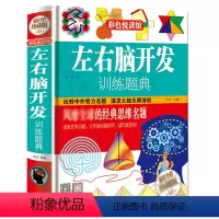 [正版]精装版左右脑开发训练题典 全彩珍藏版/左右脑全脑开发 训练方法 儿童逻辑思维训练书 开发智力书籍 益智