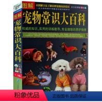 [正版]图解宠物常识大百科 以图解方法了解诠释宠物饲养常识 全方位图解美绘版图书籍