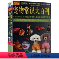 [正版]图解宠物常识大百科 以图解方法了解诠释宠物饲养常识 全方位图解美绘版图书籍