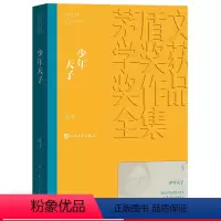 [正版] 少年天子 茅盾文学奖获奖作品全集 平装 凌力 人民文学出版社