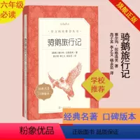 [正版]骑鹅旅行记六年级分级阅读书目语文阅读丛书塞尔玛拉格洛芙著高子英李之义杨永范译人民文学出版社