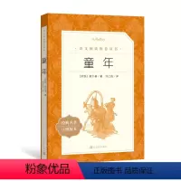 童年 [正版]童年高尔基著刘辽逸译语文阅读丛书中小学语文初部分六年级四五六年级初中生儿童青少年人民文学出版社