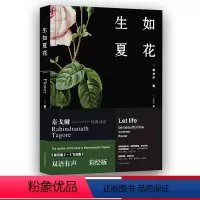 [正版]生如夏花双语有声彩绘版泰戈尔著郑振铎译外国诗歌新月集飞鸟集人民文学出版社