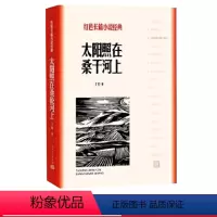[正版]太阳照在桑干河上丁玲著红色长篇小说经典爱国主义教育中小学书籍人民文学出版社