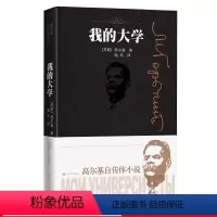 [正版] 我的大学 高尔基自传体小说 高尔基 人民文学出版社