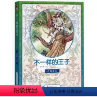 [正版]新书 不一样的王子 汉语 拼音版 人民文学出版社(汉语拼音版)