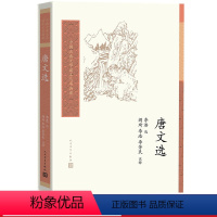 [正版]唐文选中国古典文学读本丛书典藏李浩选,阎琦、李浩、李芳民注释