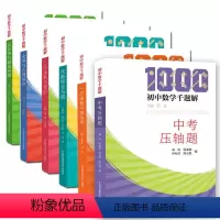 初中数学千题解 套装6册 初中通用 [正版]初中数学千题解 中考压轴题+一次函数与四边形+二次函数与函数+全等与几何综合