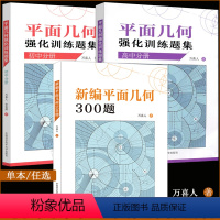 平面几何题的解题规律 初中通用 [正版]新编平面几何300题+平面几何强化训练题集初中+高中分册+解题规律+知识与问题+